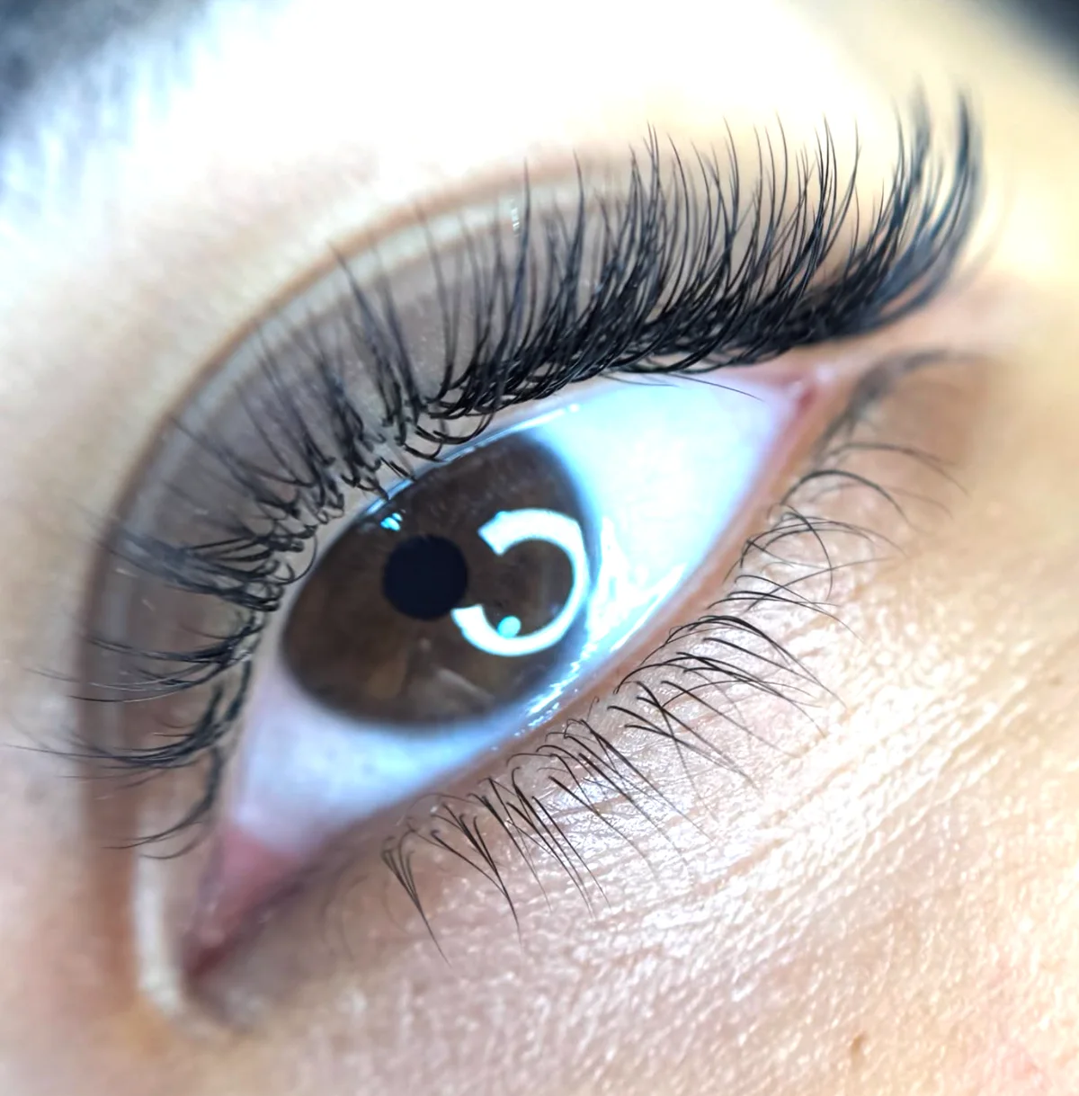 Extension de cils, vue rapprochée de l'oeil